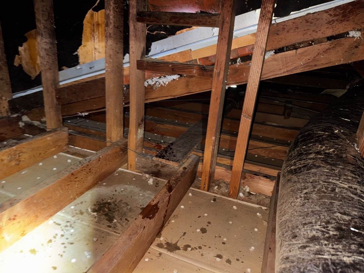 Stained attic deck in Burbank after the old insulation was removed