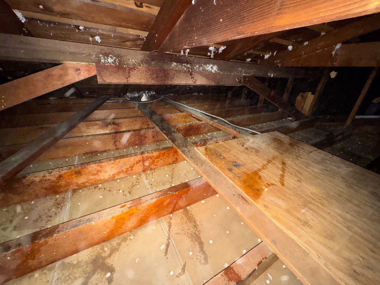Burbank attic after removal, joists and deck cleaned