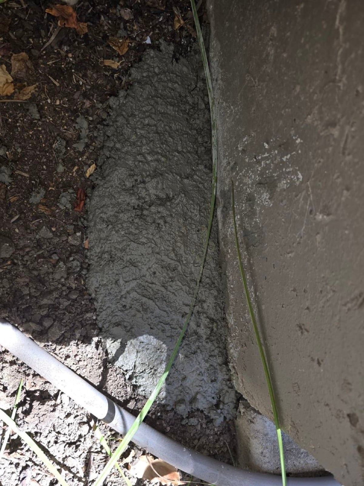Livermore attic and crawl space during sealing and rodent proofing