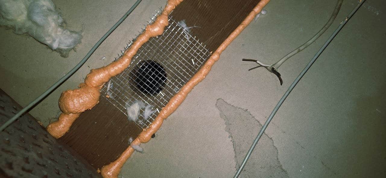 Attic vent sealed with wire mesh and foam in Danville