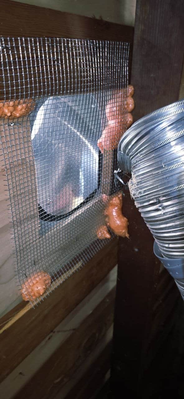 Wire mesh sealed around a duct penetration in Danville