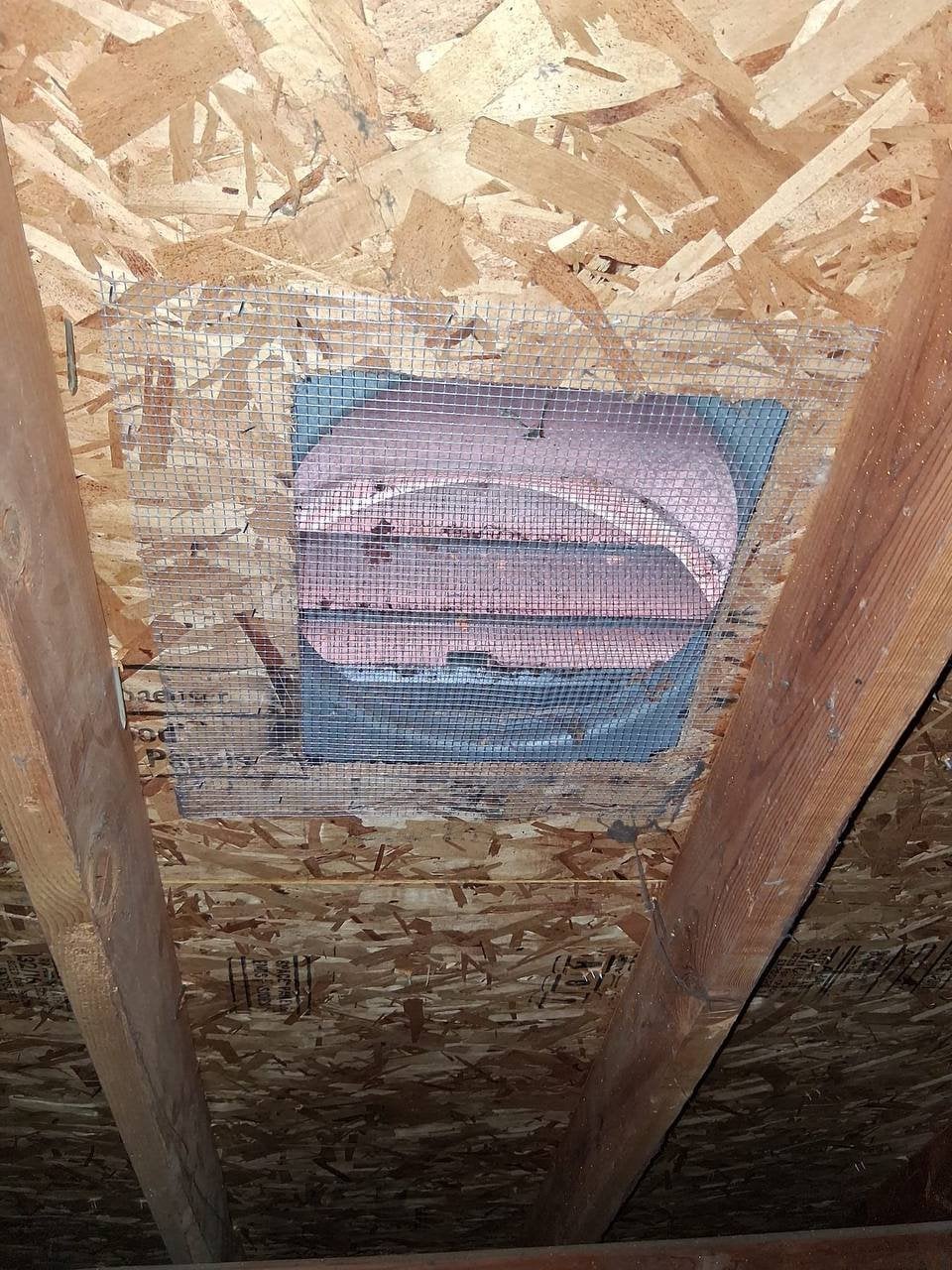 Attic vent screened with wire mesh in Danville