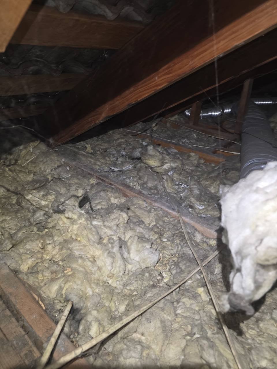 Fairfield attic before work, old insulation