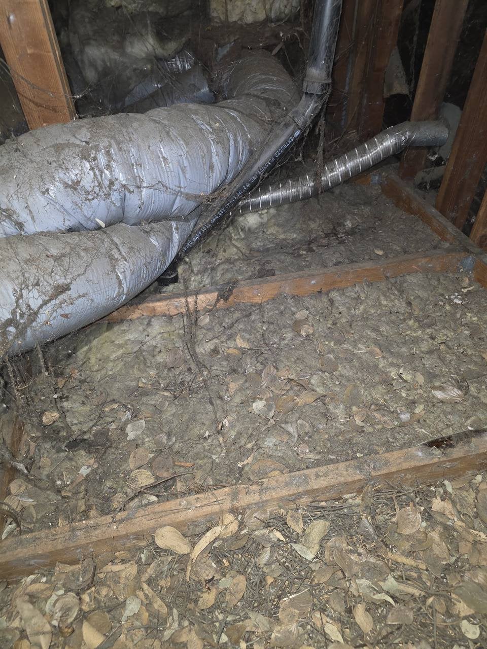 Fairfield attic before work, old insulation and debris