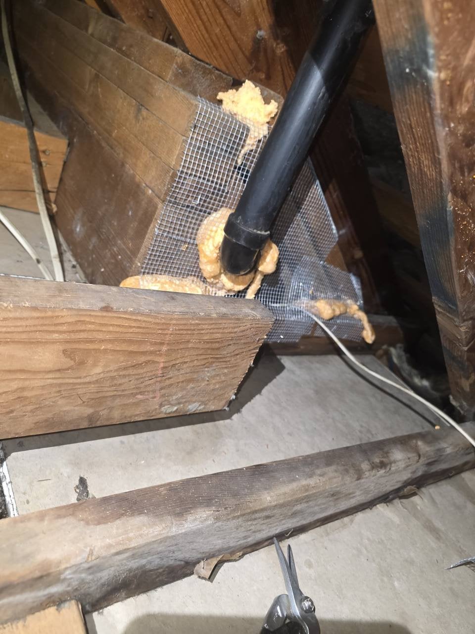 Wire mesh and foam around a pipe in a Fairfield attic