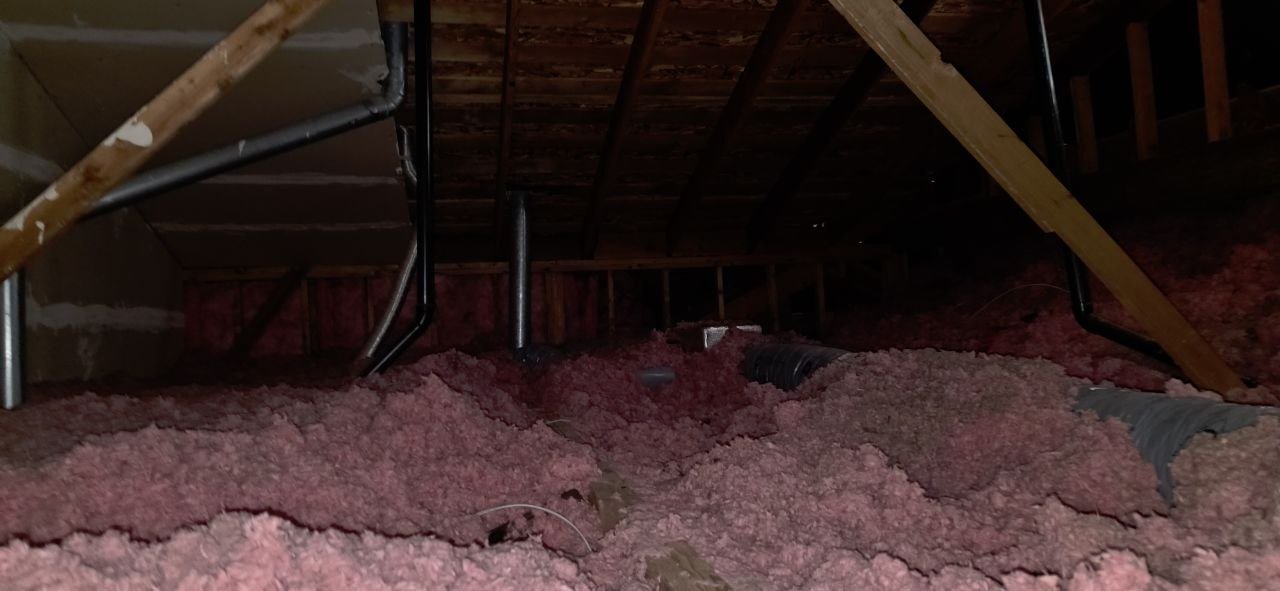 Fremont attic before work, old insulation