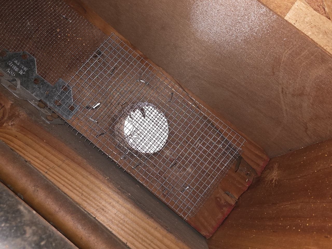 Attic vent screened with wire mesh in Fremont
