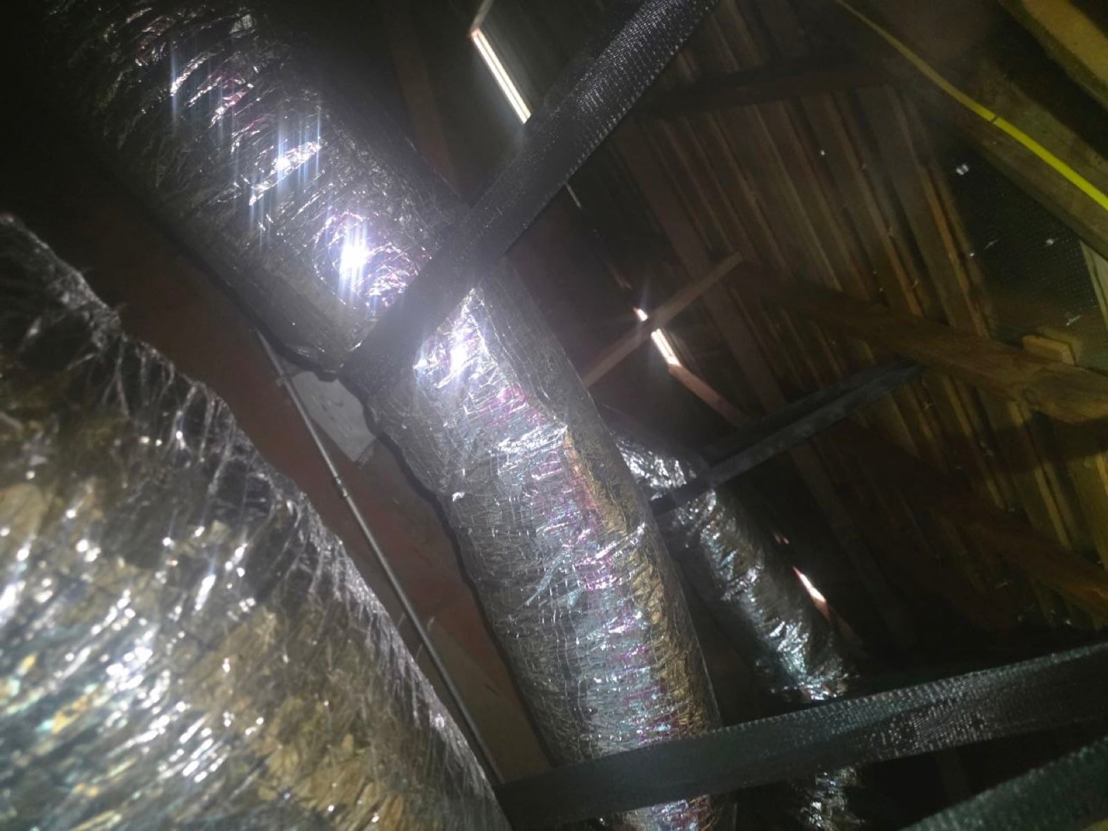 Completed San Jose attic and crawl space