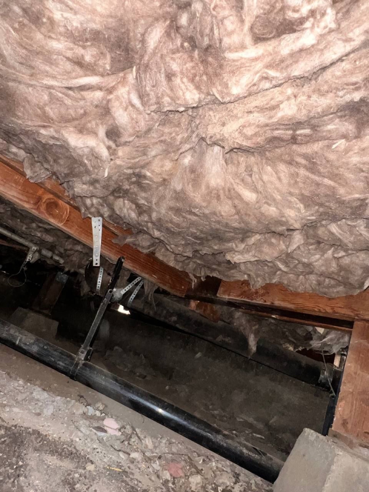 Completed San Jose attic and crawl space