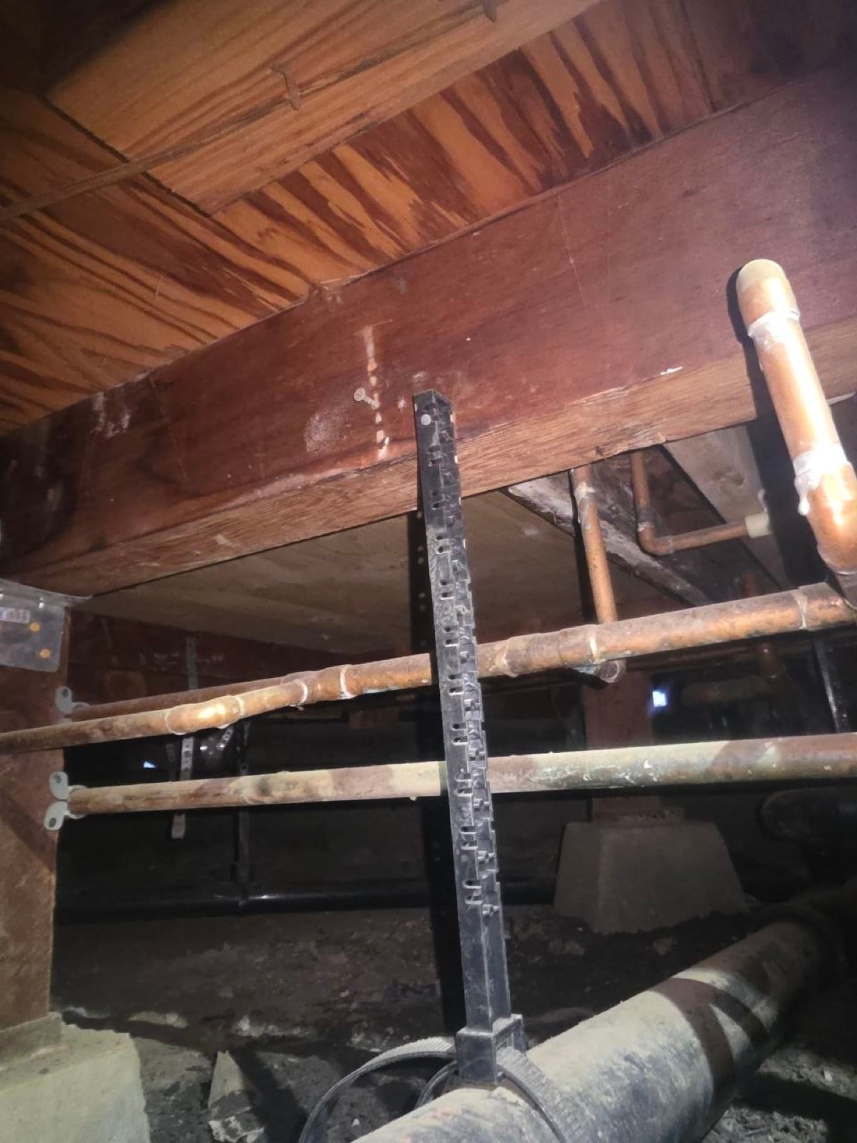 San Jose attic and crawl space before work began, showing the condition the crew found