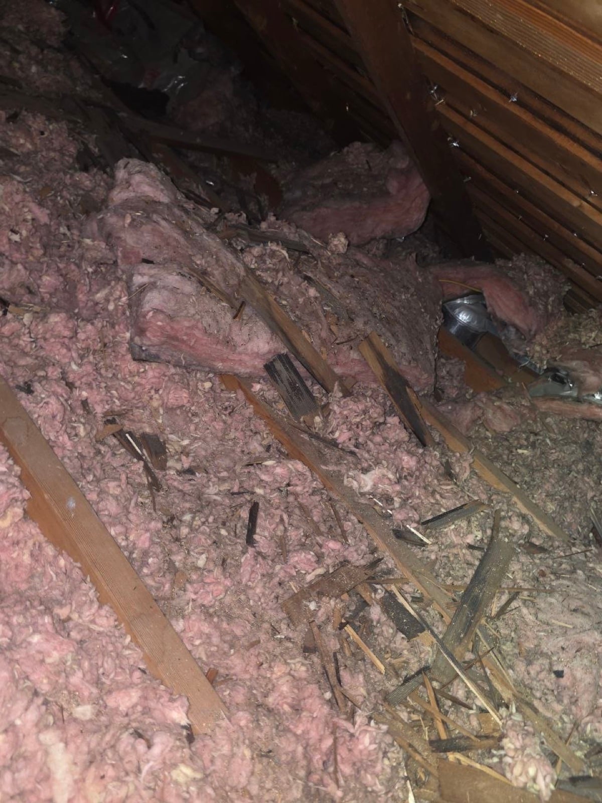 Early stage of the San Jose attic and crawl space job — clearing out