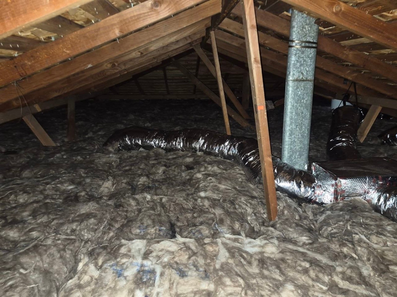 Completed San Jose attic and crawl space