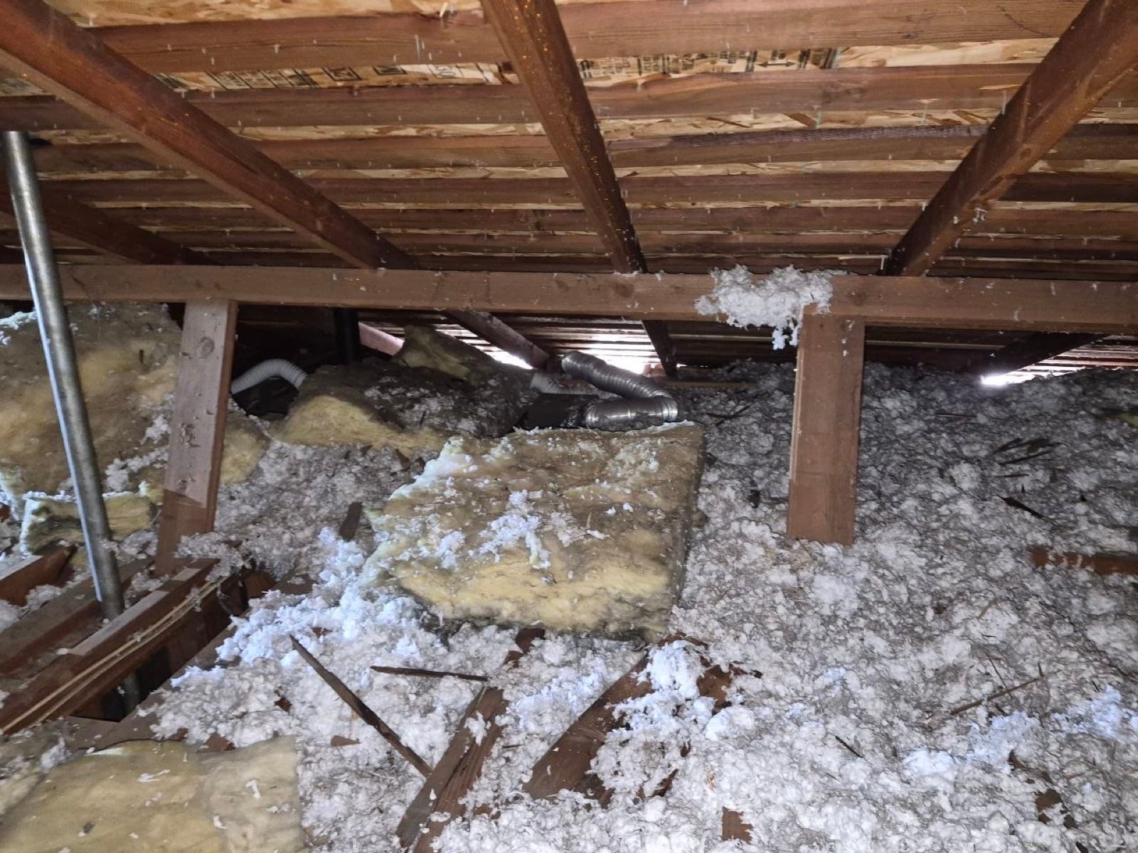 San Jose attic and crawl space during sealing and rodent proofing