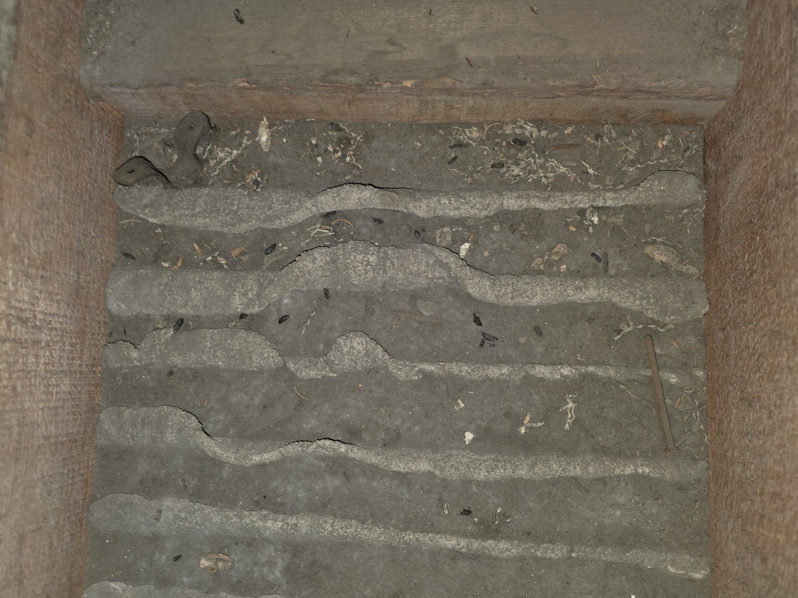 Glendale attic before work, old insulation and debris