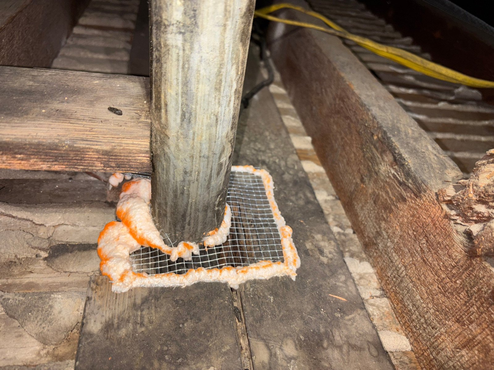 Wire mesh and foam sealing an attic opening in Glendale