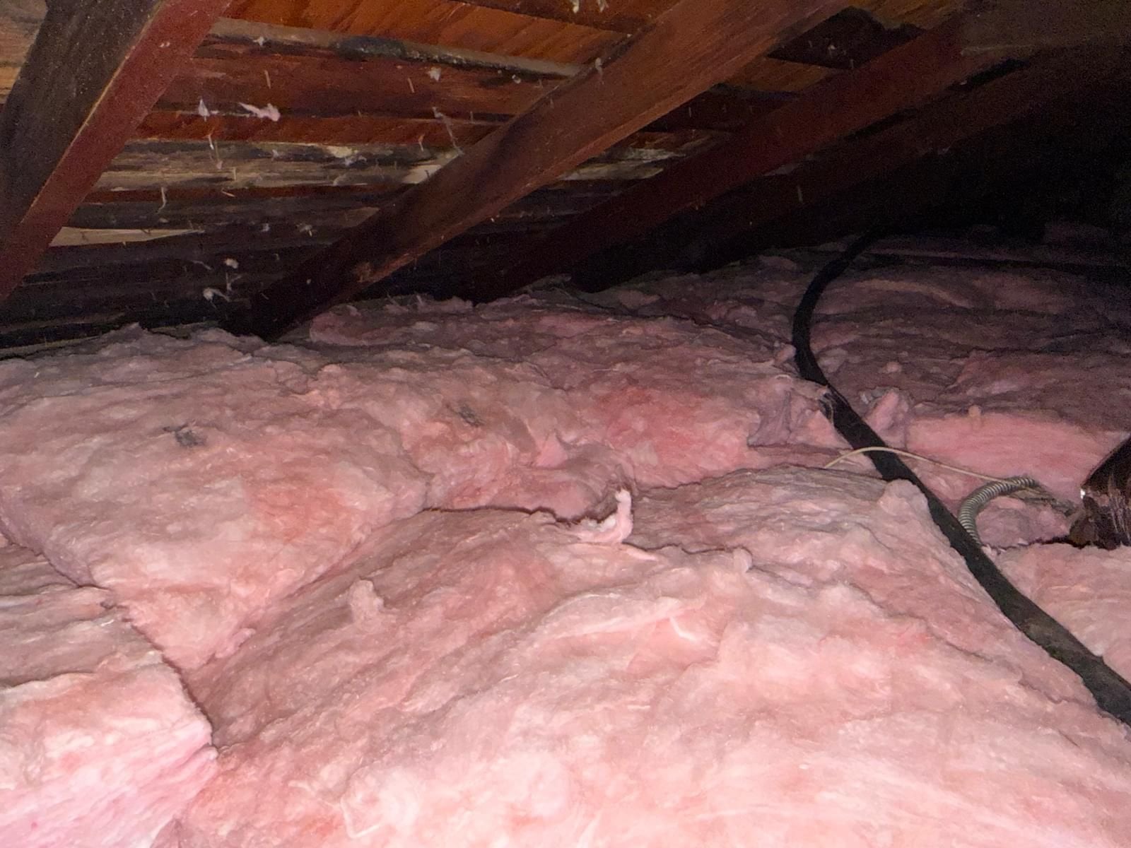 Glendale attic after the job, new insulation installed