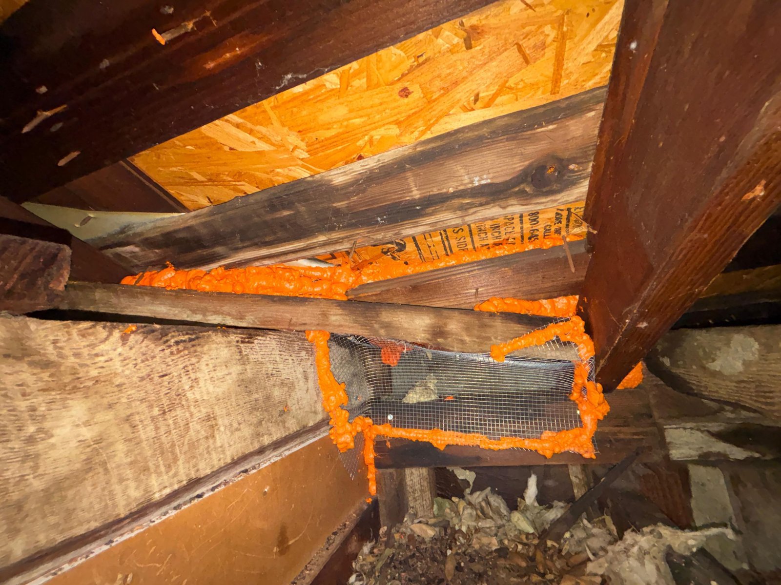 Wire mesh and foam sealing an attic opening in Glendale
