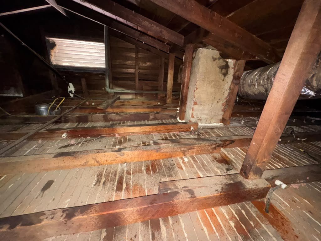 Glendale attic after removal, joists and deck cleaned