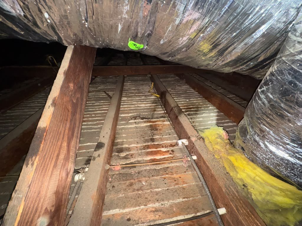 Cleared attic deck in Glendale