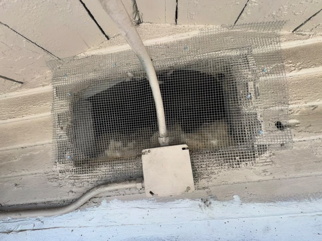 Attic vent screened with wire mesh in Glendale