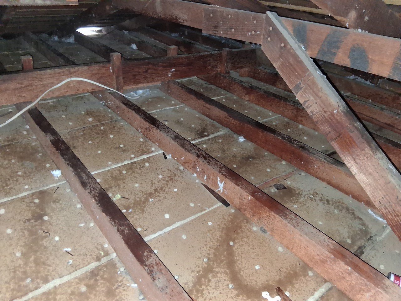 Glendale attic after removal, joists and deck cleaned