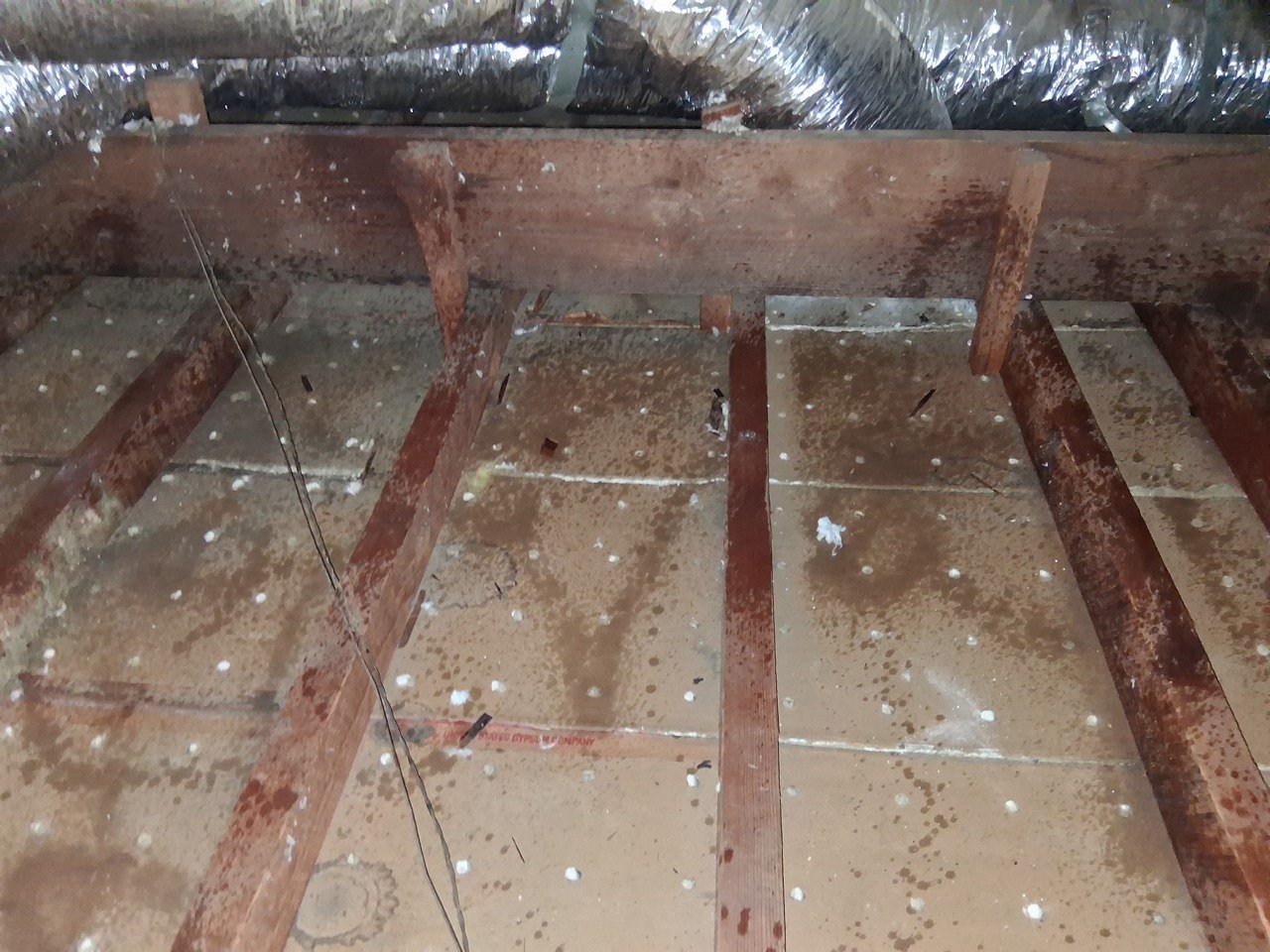 Cleared attic deck in Glendale