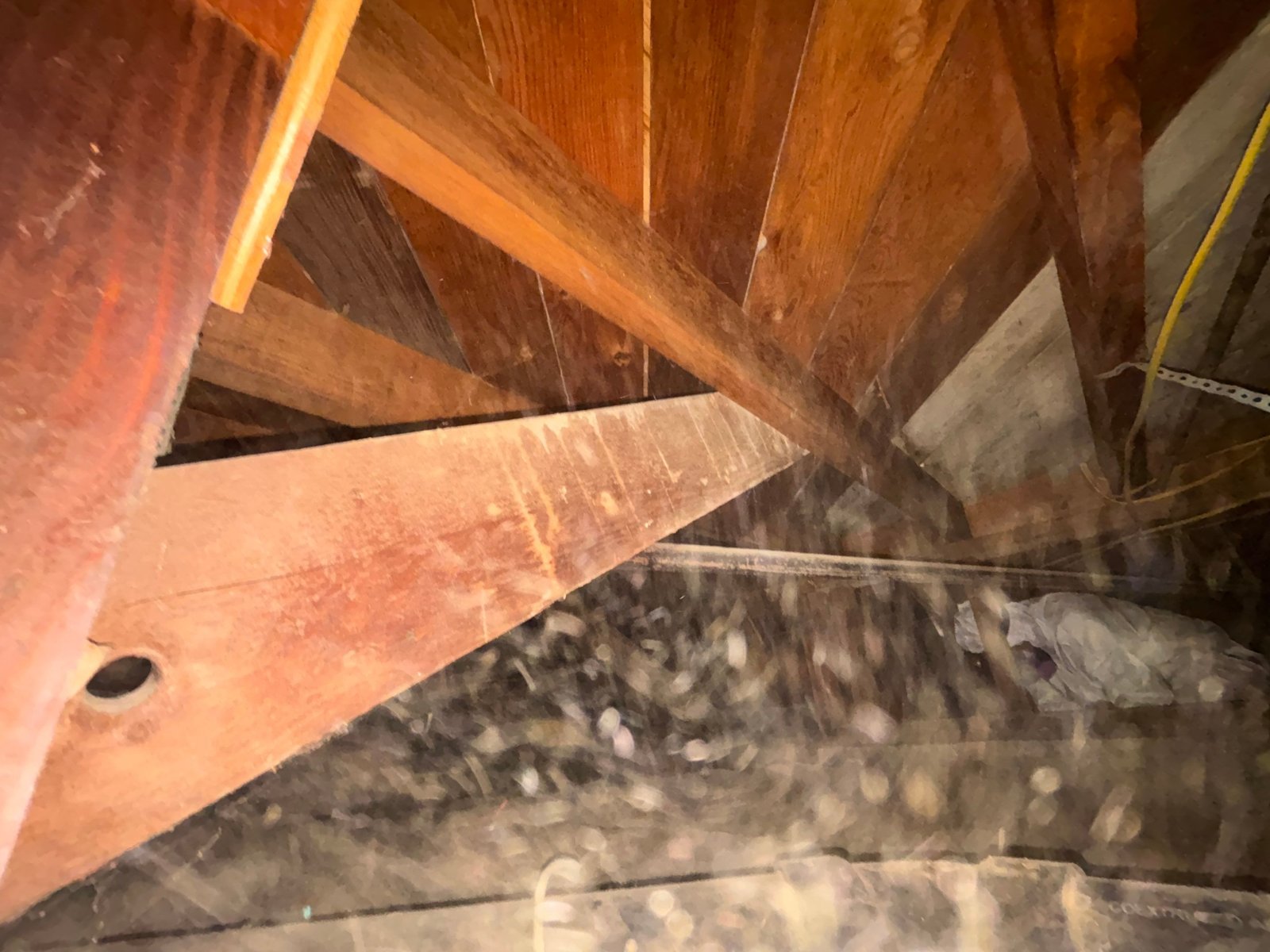 Bare floor framing in a Glendale crawl space