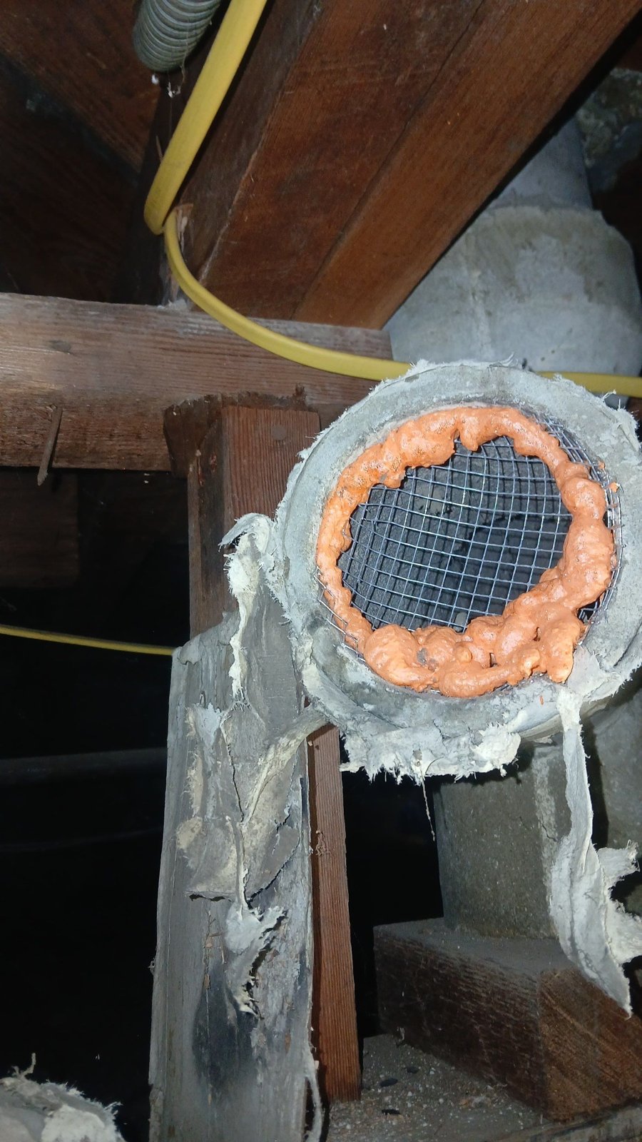 Duct opening sealed with foam and wire mesh in Glendale