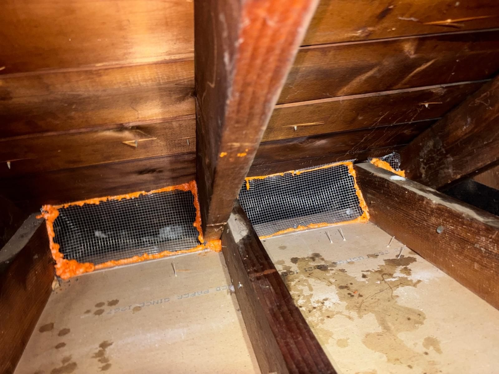 Attic vent sealed with wire mesh and foam in Glendora