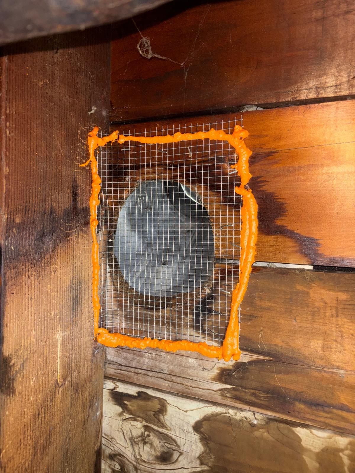 Second attic vent sealed with wire mesh and foam in Glendora