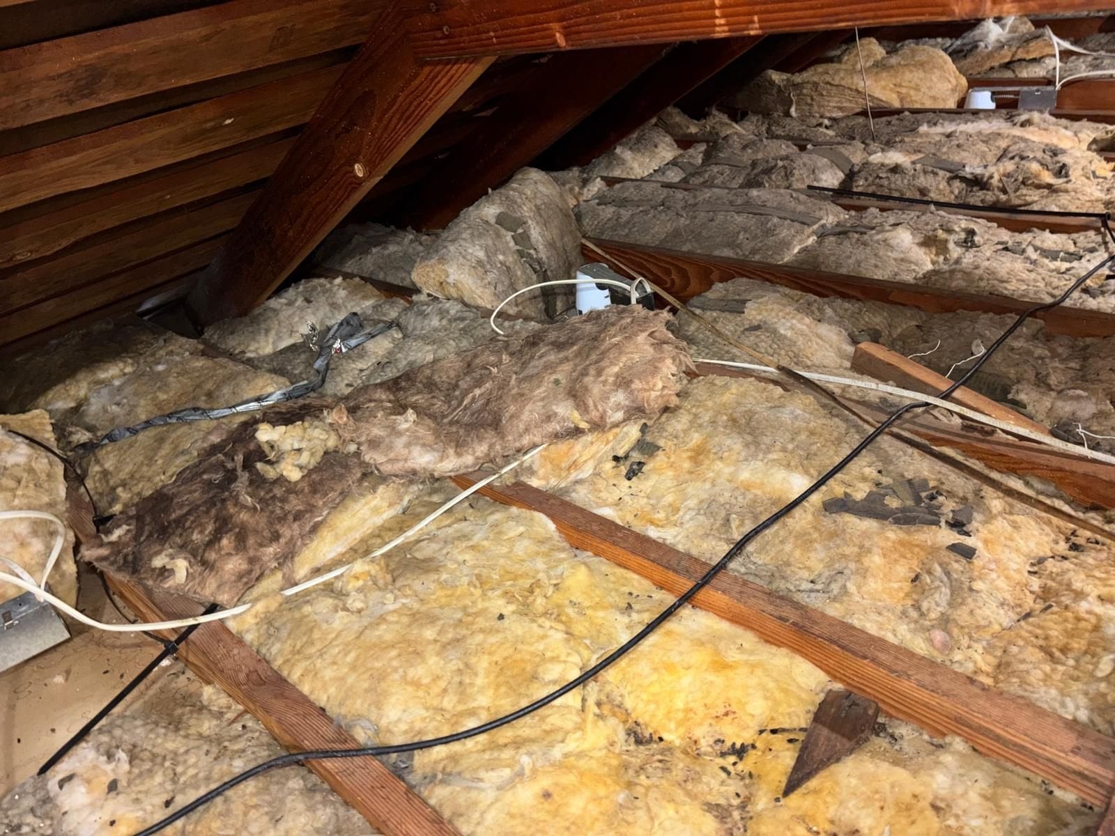 Contaminated old insulation in the Hacienda Heights attic before work