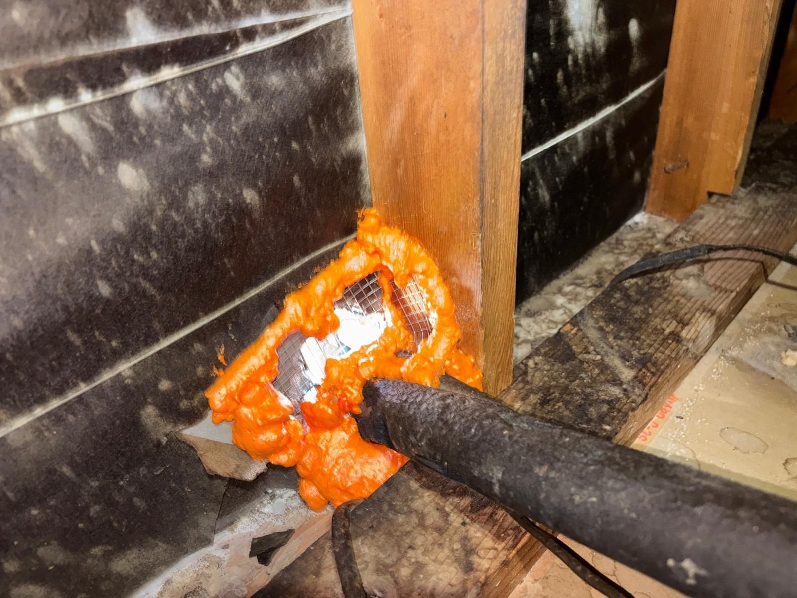 Wire mesh and foam around a pipe in a Hacienda Heights attic