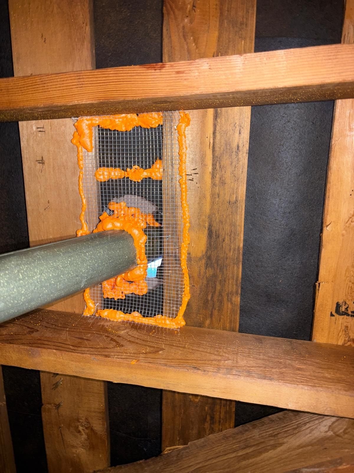 Wire mesh and foam sealing an attic opening in Hacienda Heights