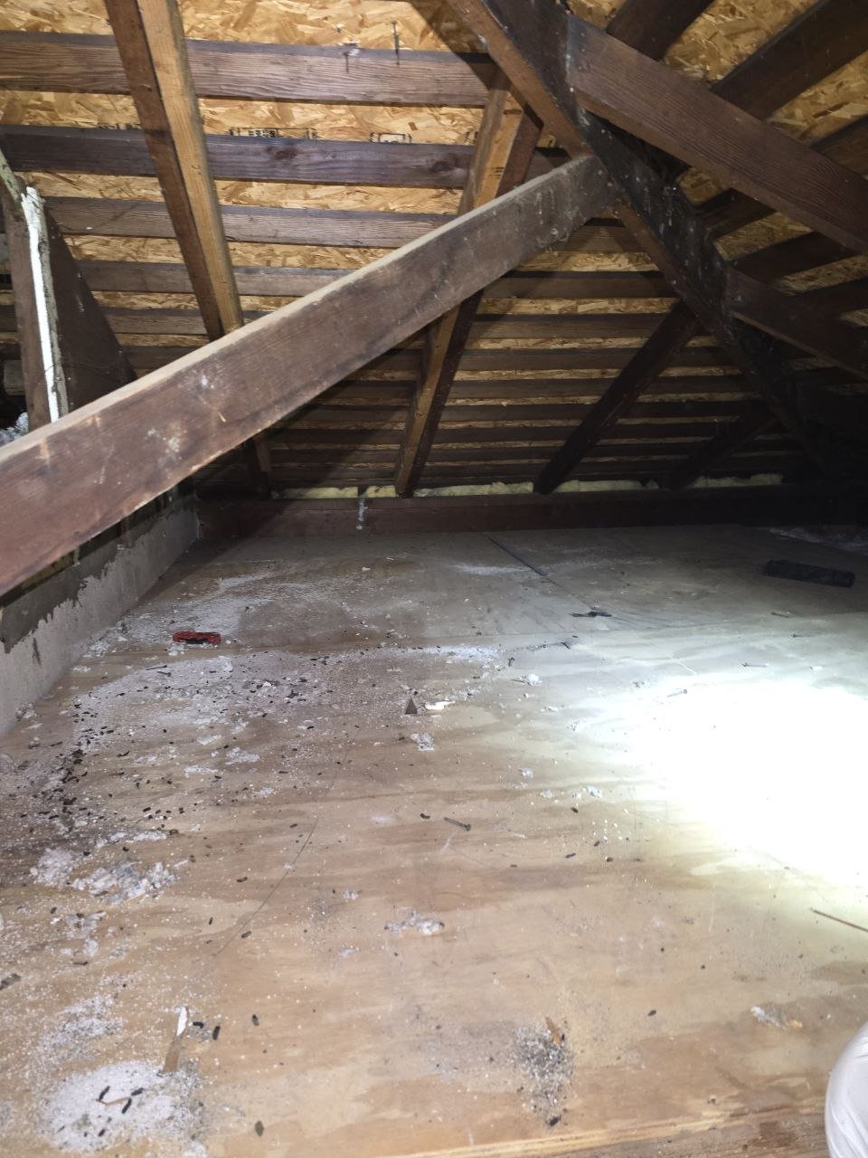 Cleared attic deck in Hayward