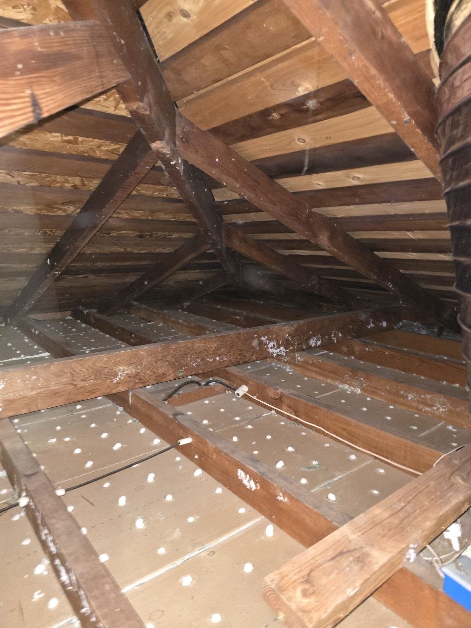 Hayward attic after removal, joists and deck cleaned