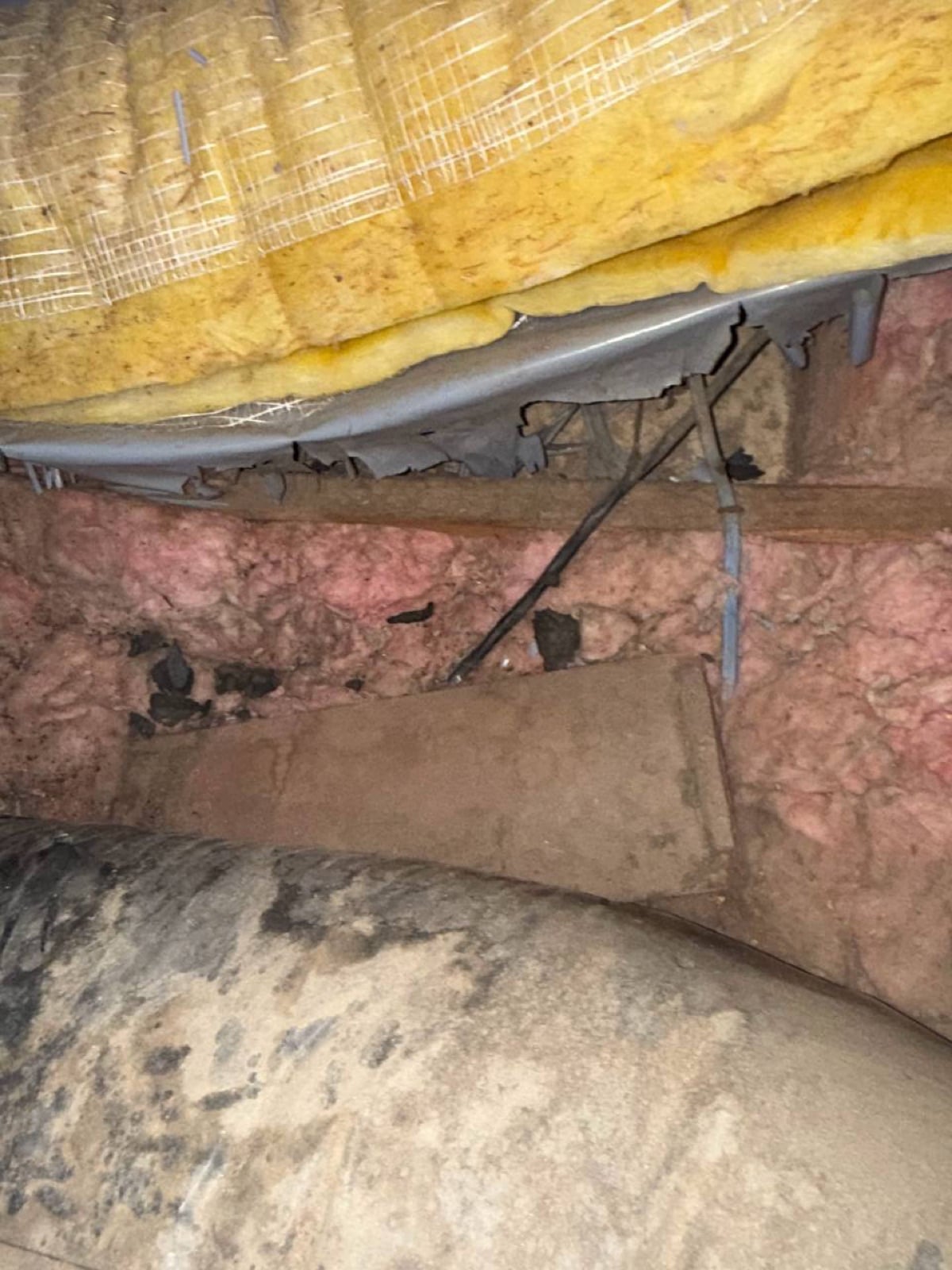 Calabasas attic before work began, showing the condition the crew found