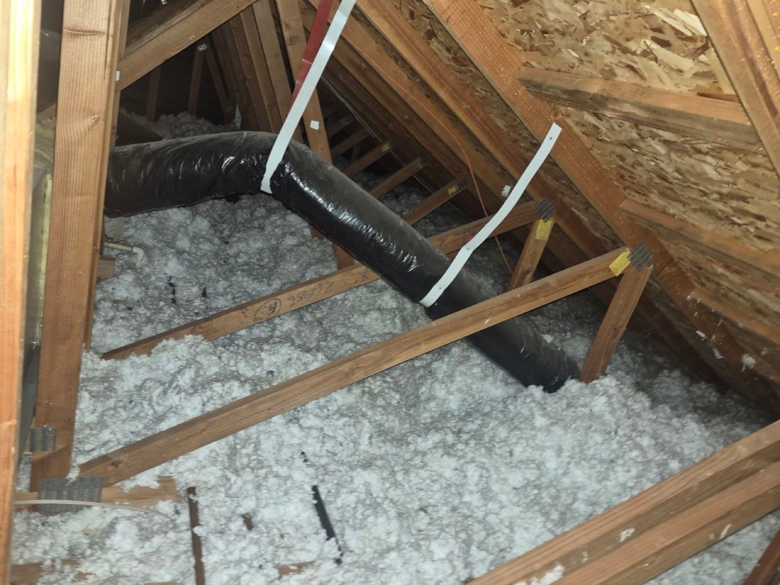San Ramon attic during sealing and rodent proofing