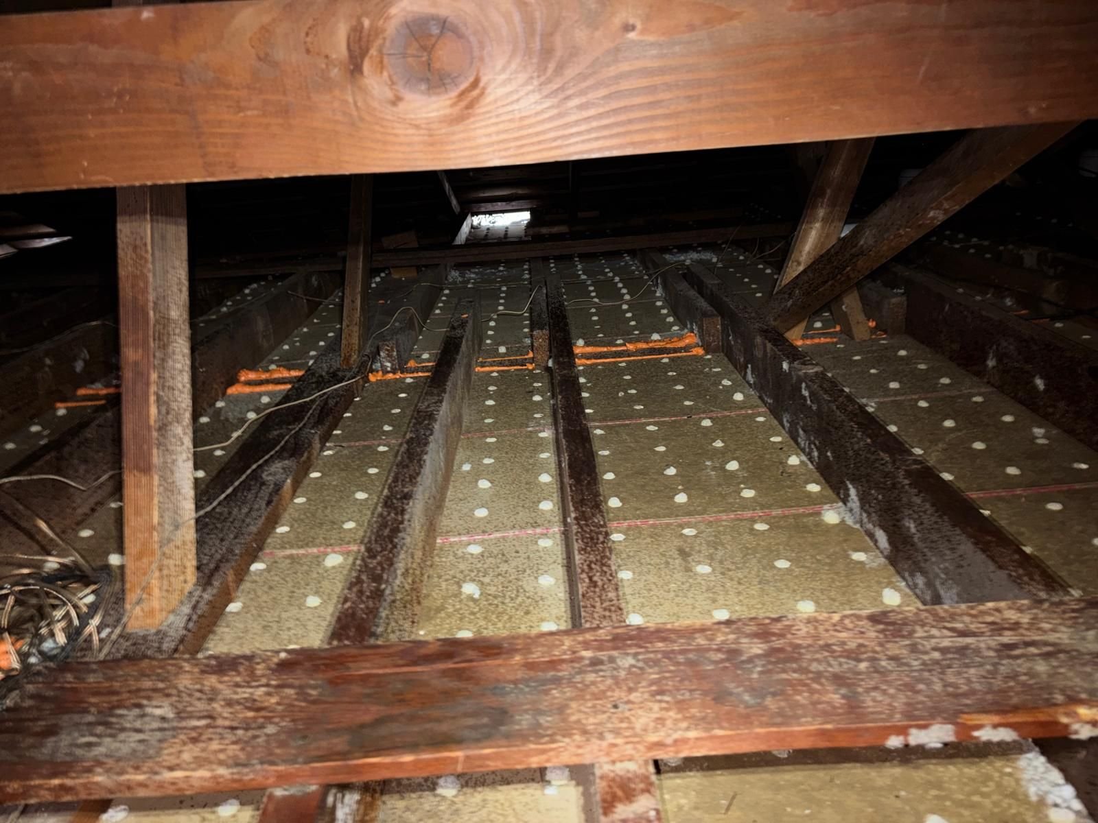Long Beach attic after removal, joists and deck cleaned