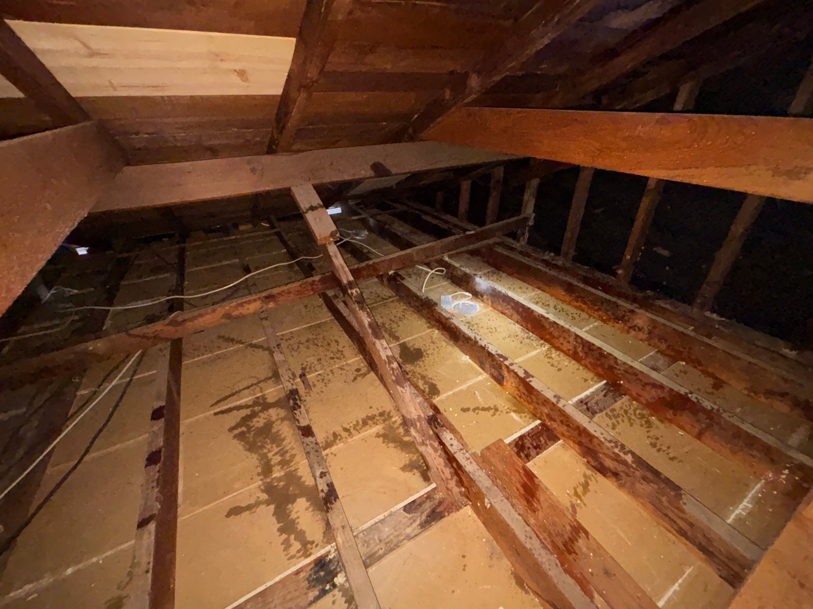 Long Beach attic after removal, joists and deck cleaned