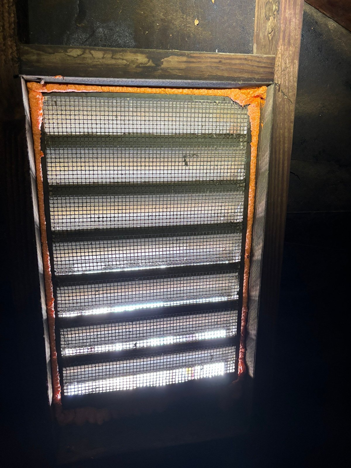 Attic vent sealed with wire mesh and foam in Long Beach