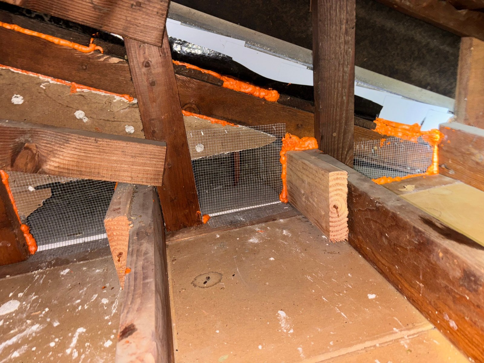 Wire mesh and foam sealing an attic opening in Long Beach