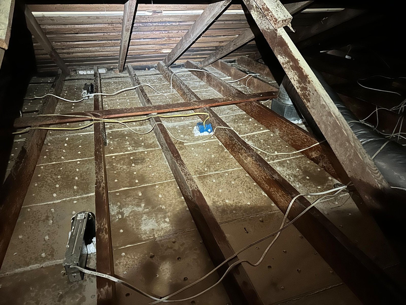 Long Beach attic after removal, joists and deck cleaned
