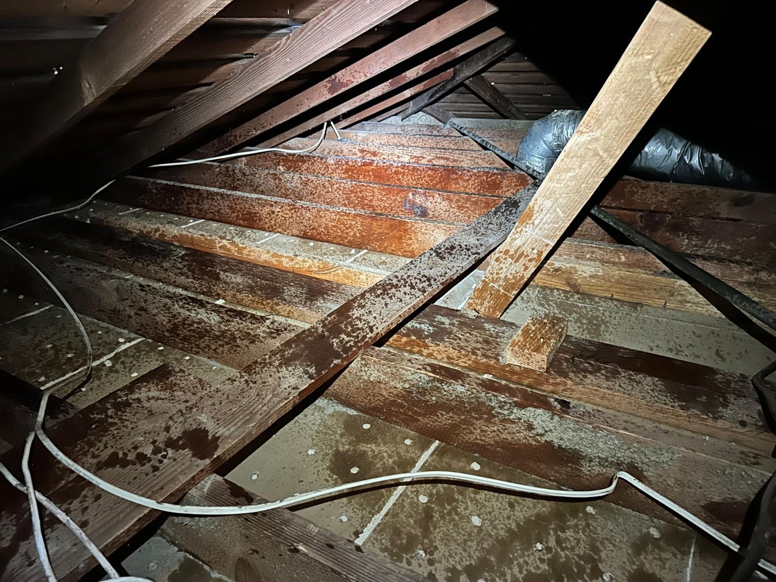 Cleared attic deck in Long Beach