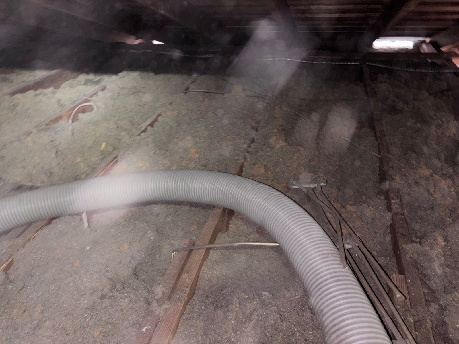 Old insulation being removed from the Long Beach attic