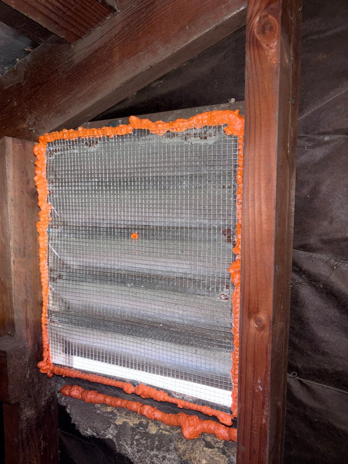 Attic vent sealed with wire mesh and foam in Long Beach