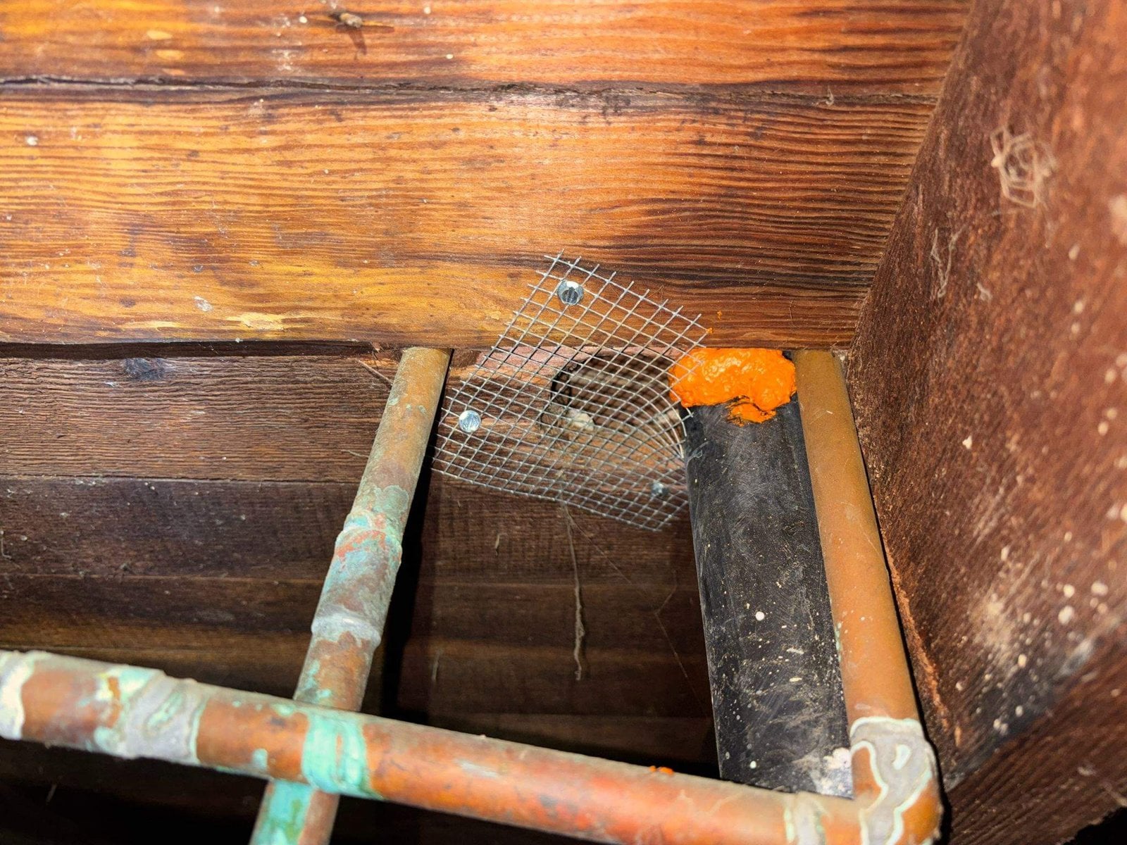 Wire mesh and foam around a pipe in a Long Beach attic