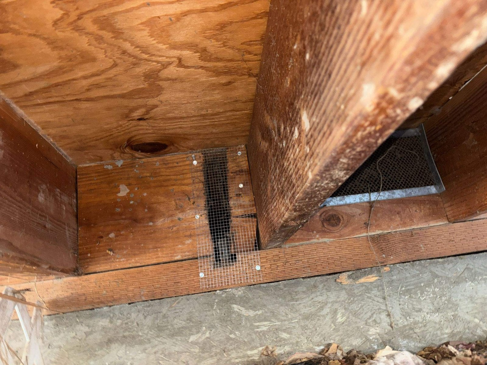 Wire mesh over framing gaps in a Long Beach attic