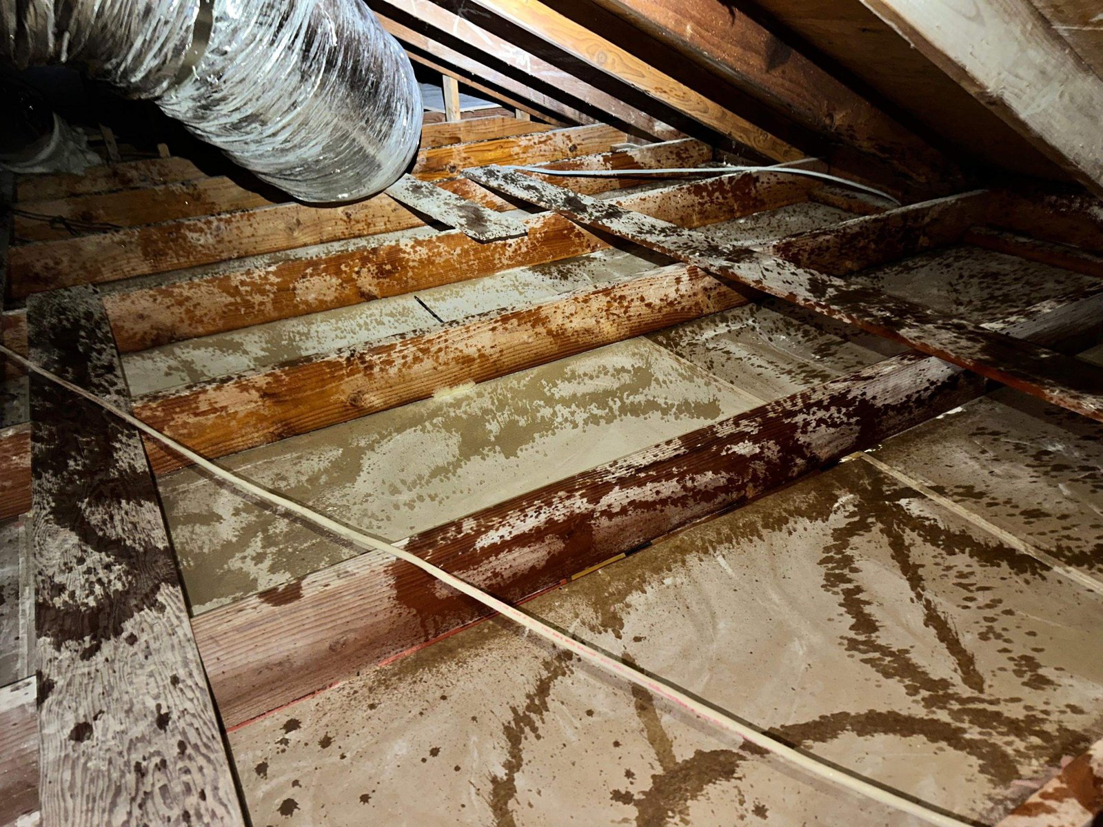 Attic deck with staining after old insulation removal in Long Beach