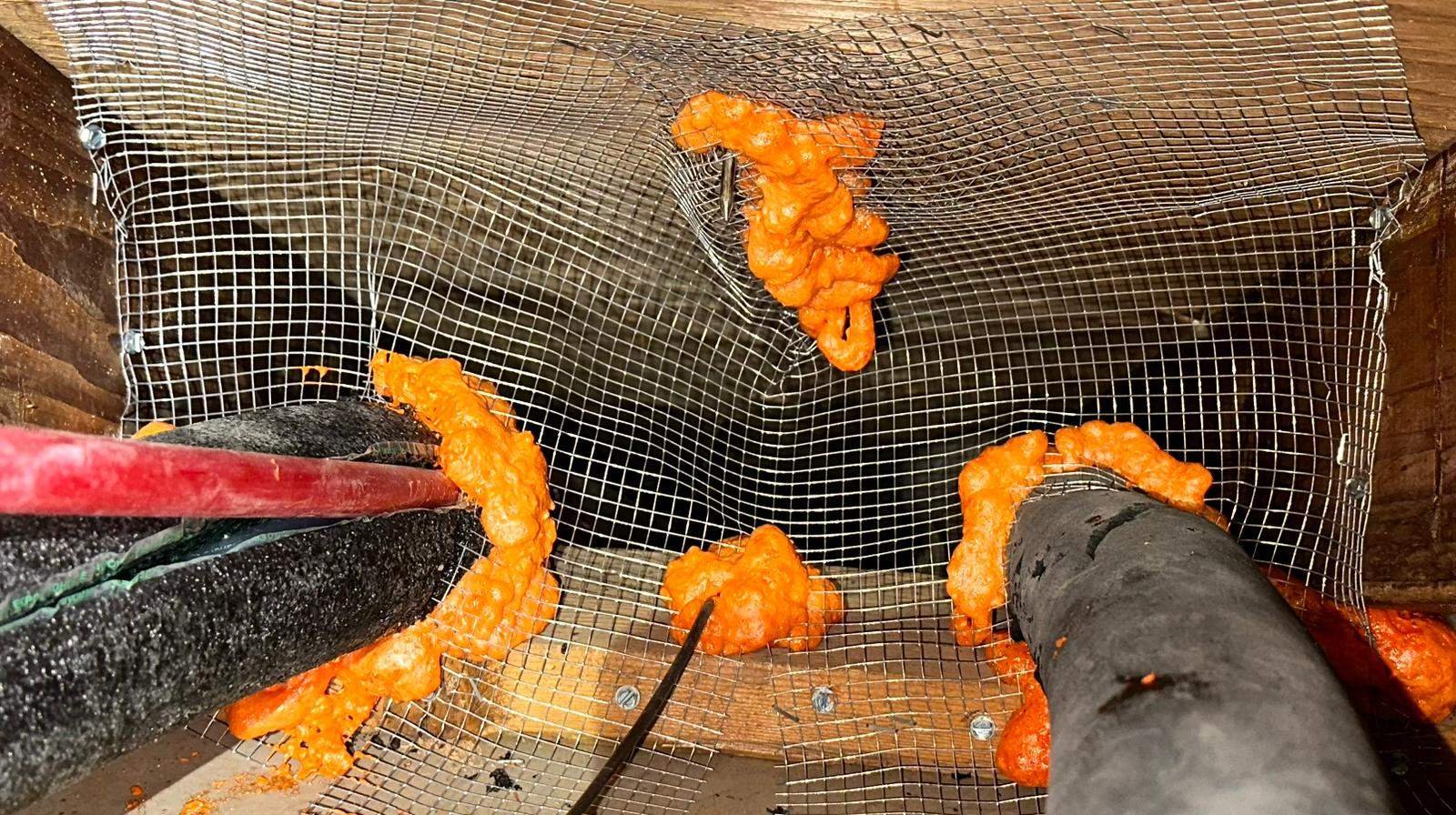 Wire mesh and foam sealing around a pipe in a Long Beach attic
