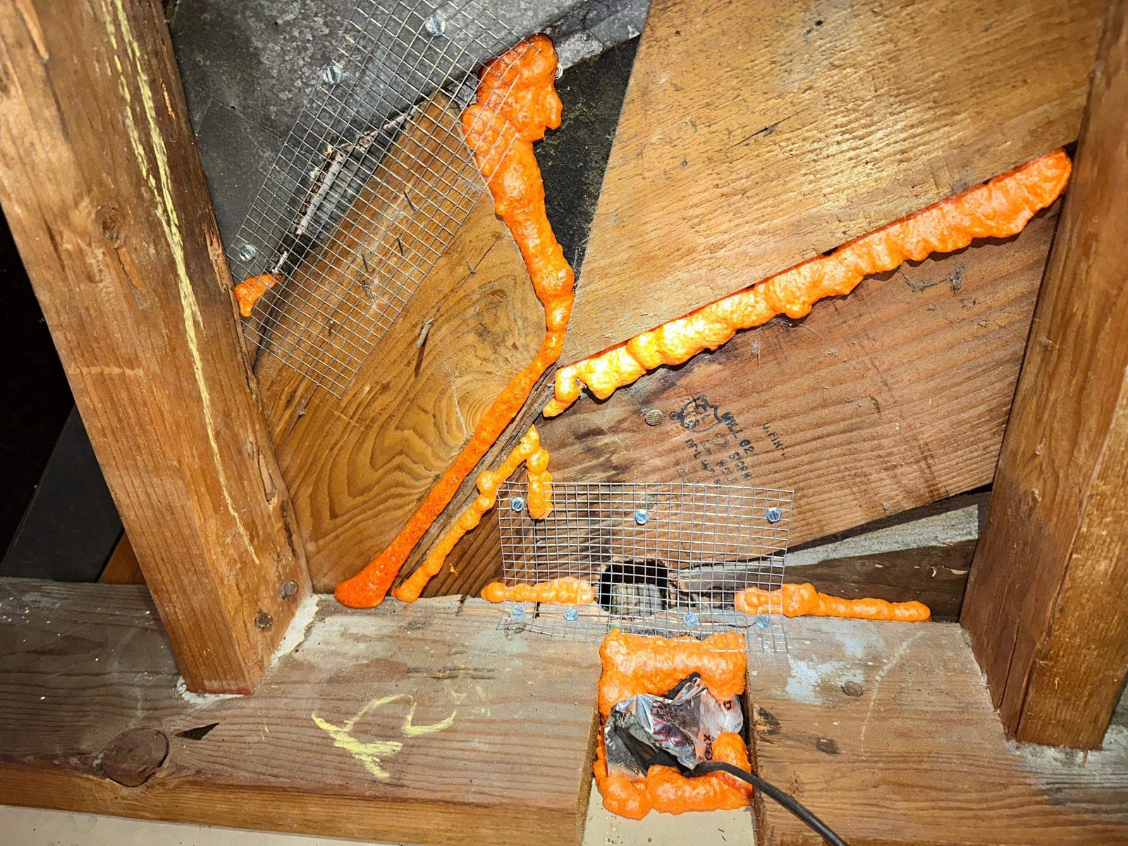 Wire mesh and foam sealing an attic opening in Long Beach
